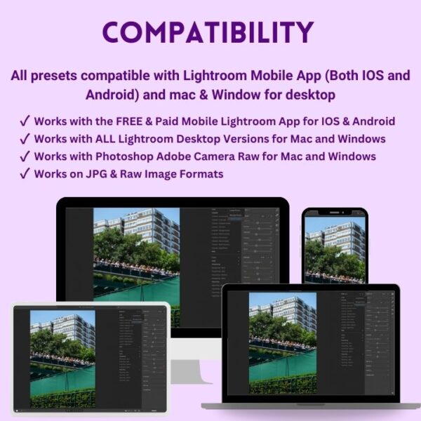 ALL IN ONE Bundle 12,000+ Lightroom Presets and LUTs
