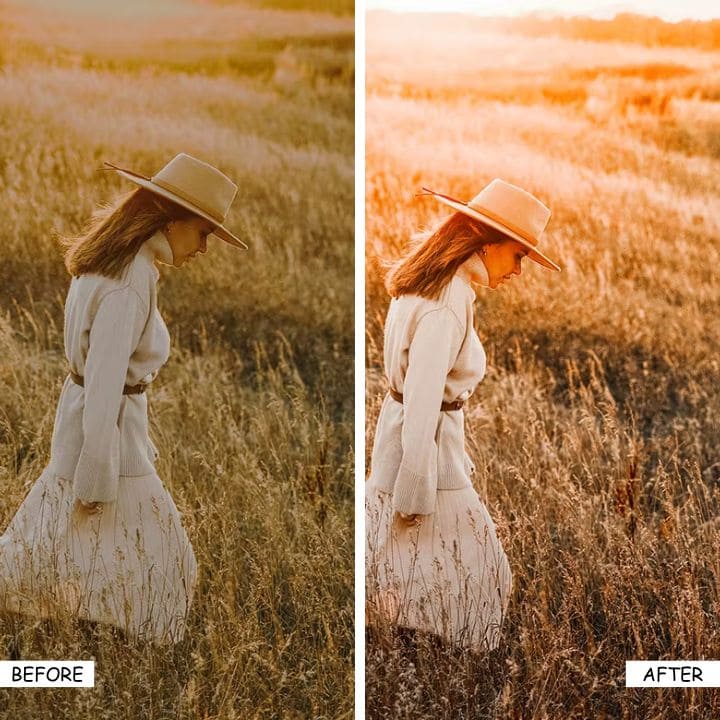 Blogger, lightroom bundle, lightroom desktop, lightroom mobile, Lightroom Presets, Lovely Pets Presets, LUTs PRESETS