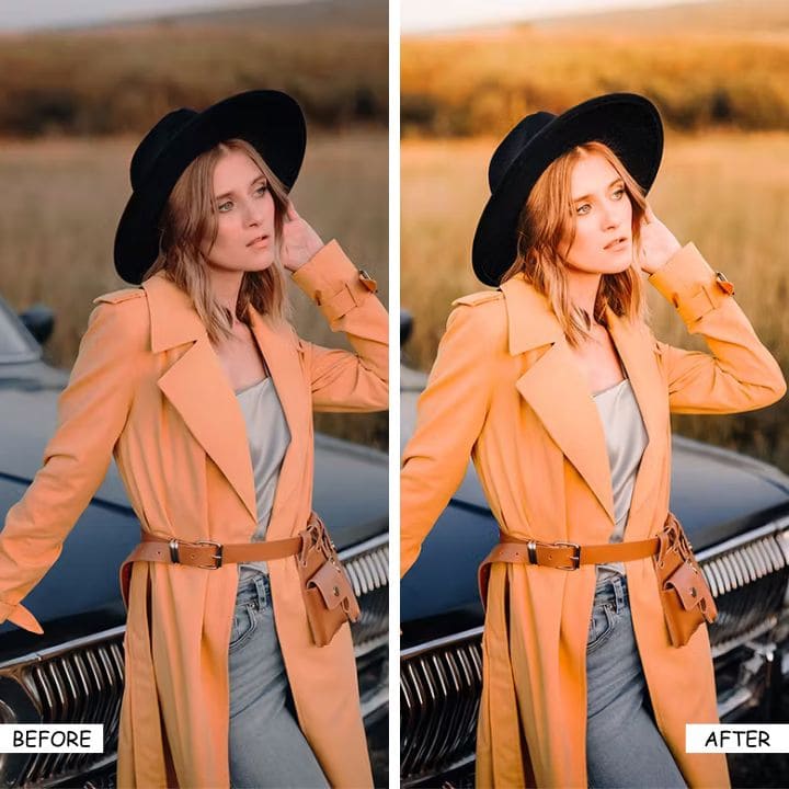 Lightroom Presets, Lovely Pets Presets, LUTs PRESETS, Moody Fall, Moody Romantic Presets, Neutral aesthetic Presets, Norway, Paradise Presets