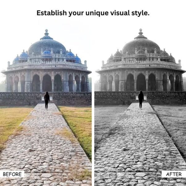 B&W Deluxe Lightroom Presets